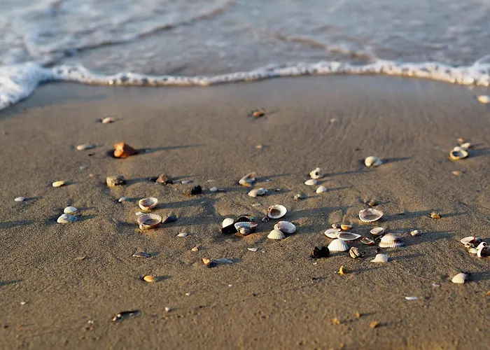 Apartmán Relaxing Seaside Flat In A Modern