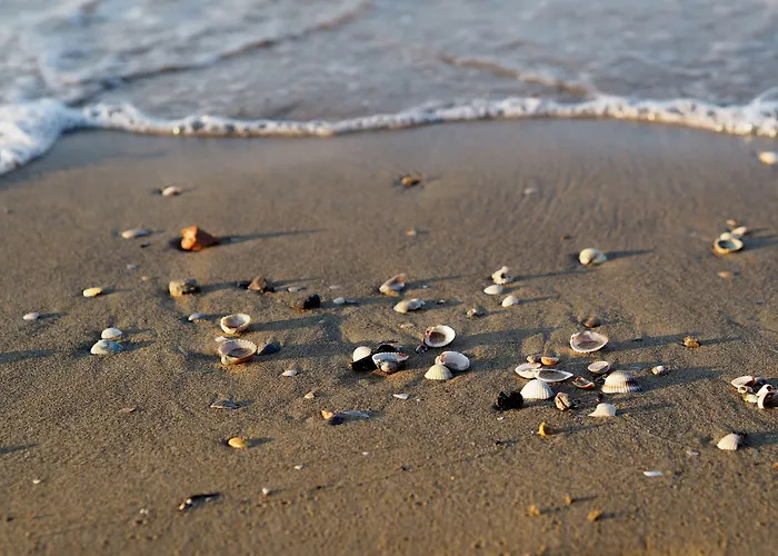 Relaxing Seaside Flat In A Modern Apartmán *